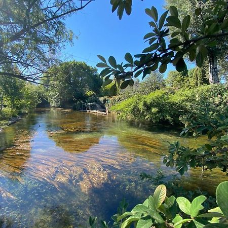 Gite L'Odonate, Partage Des Eaux L'Isle-sur-la-Sorgue Luaran gambar